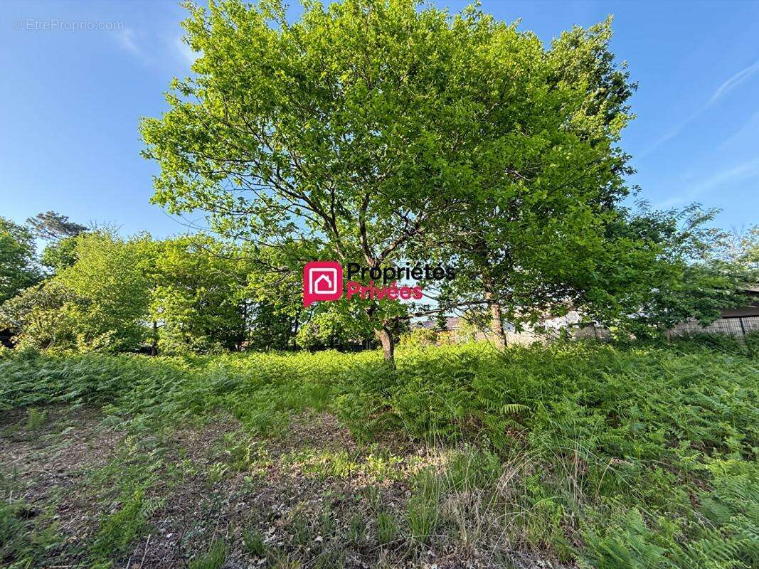 Hourtin port - terrain viabilise  - 989m2 - photo 4
