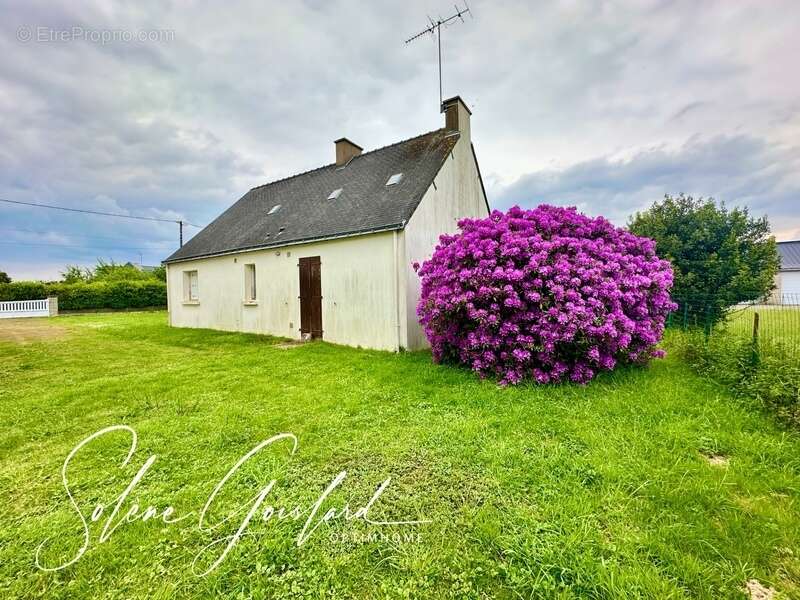 Maison à SAINT-DOLAY