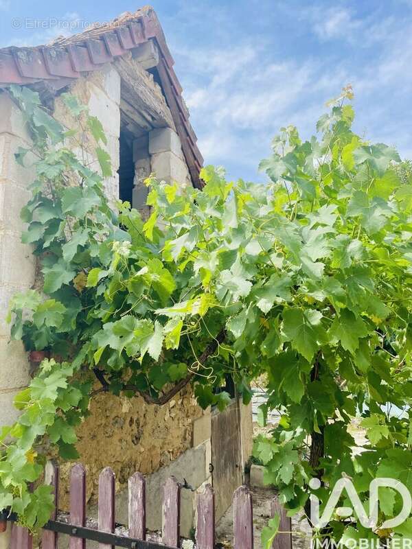 Maison 215 m² à Merigny  - photo 5