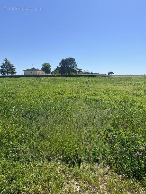 Terrain à SAINT-QUENTIN-DE-BARON