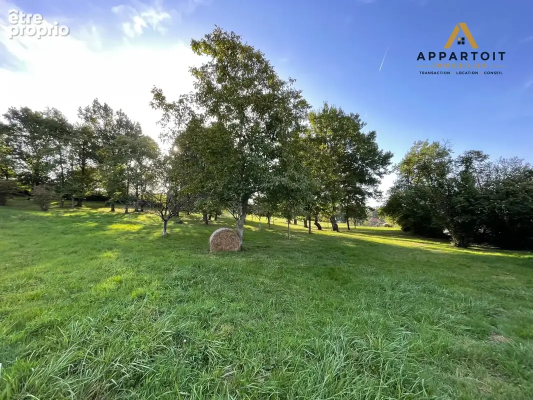 Terrain 13 677 m² à vendre à Saint-Yorre (03270) - photo 3