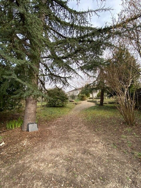 Maison à MONTHOU-SUR-CHER