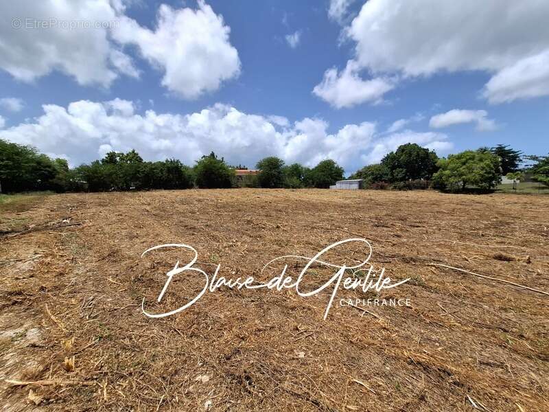 Terrain à SAINT-FRANCOIS