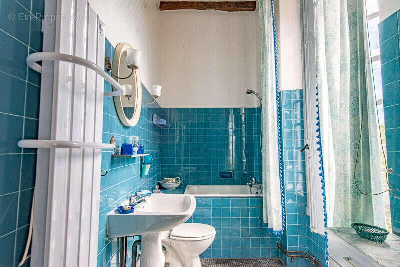 CHATEAU de famille du 17e siècle en très bon état à vendre à GIBEL - photo 30
