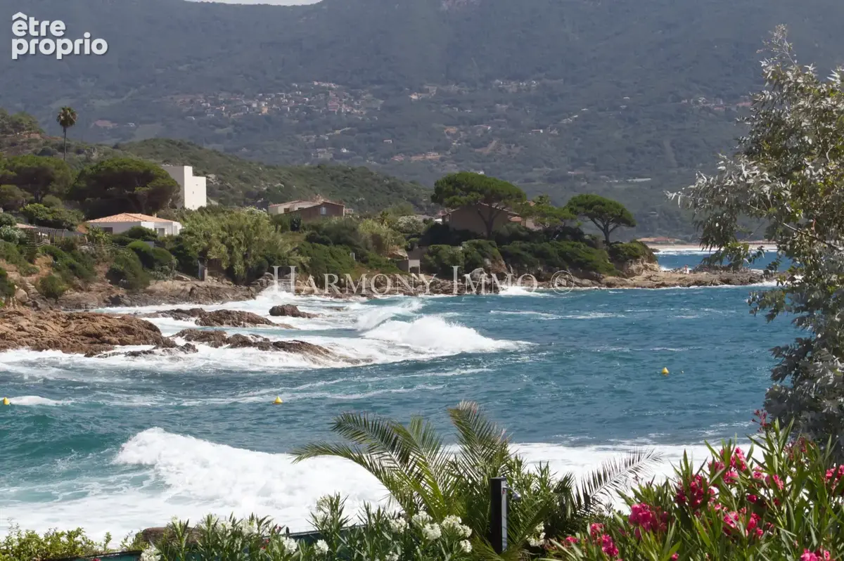 Rare : Pied dans l’eau. Accès direct plage. - photo 4