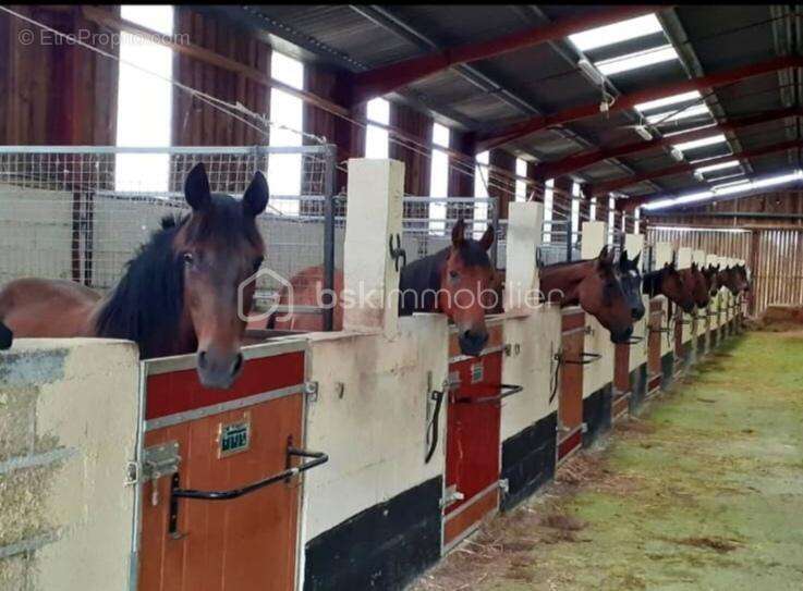 Maison à NOVION-PORCIEN