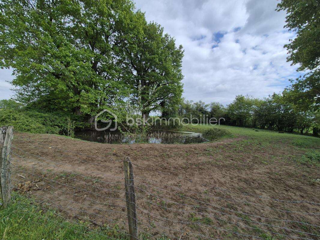 Ancienne ferme avec terrain - photo 7
