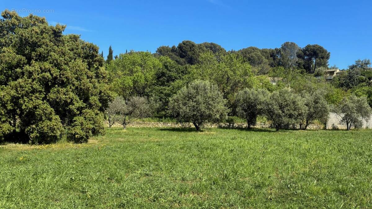Terrain à LAGNES
