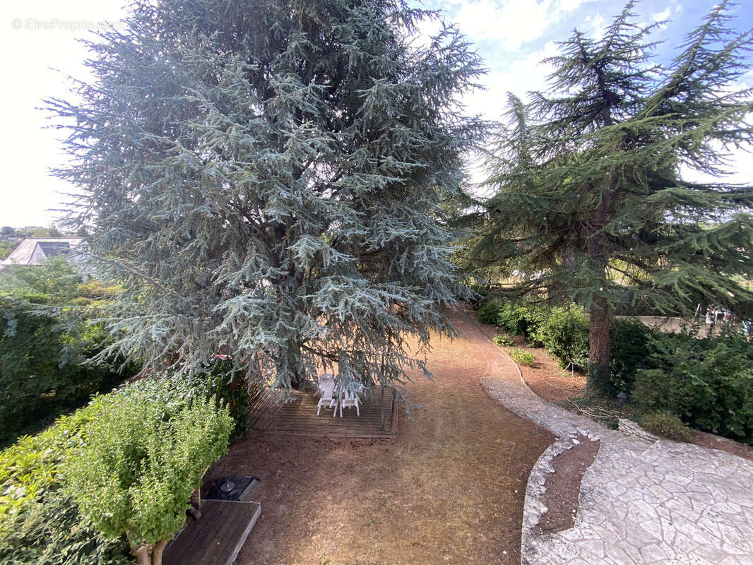 Maison à CHOUZE-SUR-LOIRE