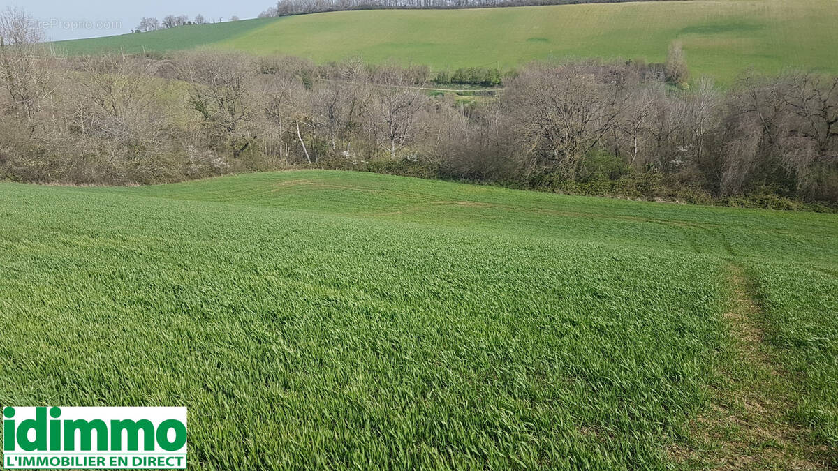 Terrain à GAILLAC-TOULZA