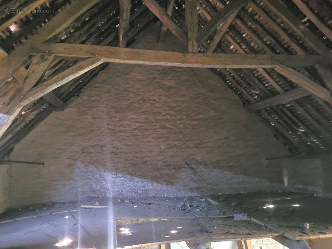 Maison à AILLANT-SUR-THOLON