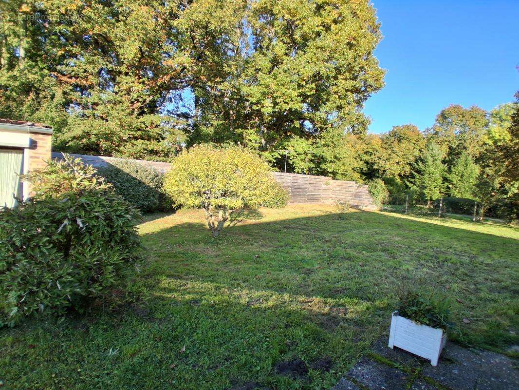 Maison à CHATEAU-RENARD