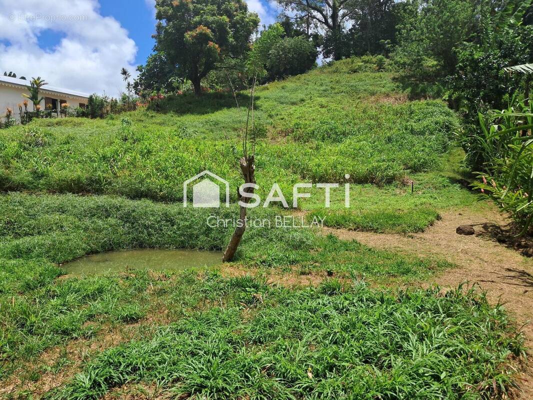 Photo 1 - Terrain à LE LAMENTIN