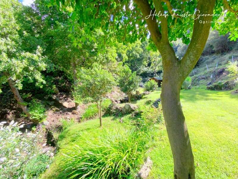 Appartement à OLETTA