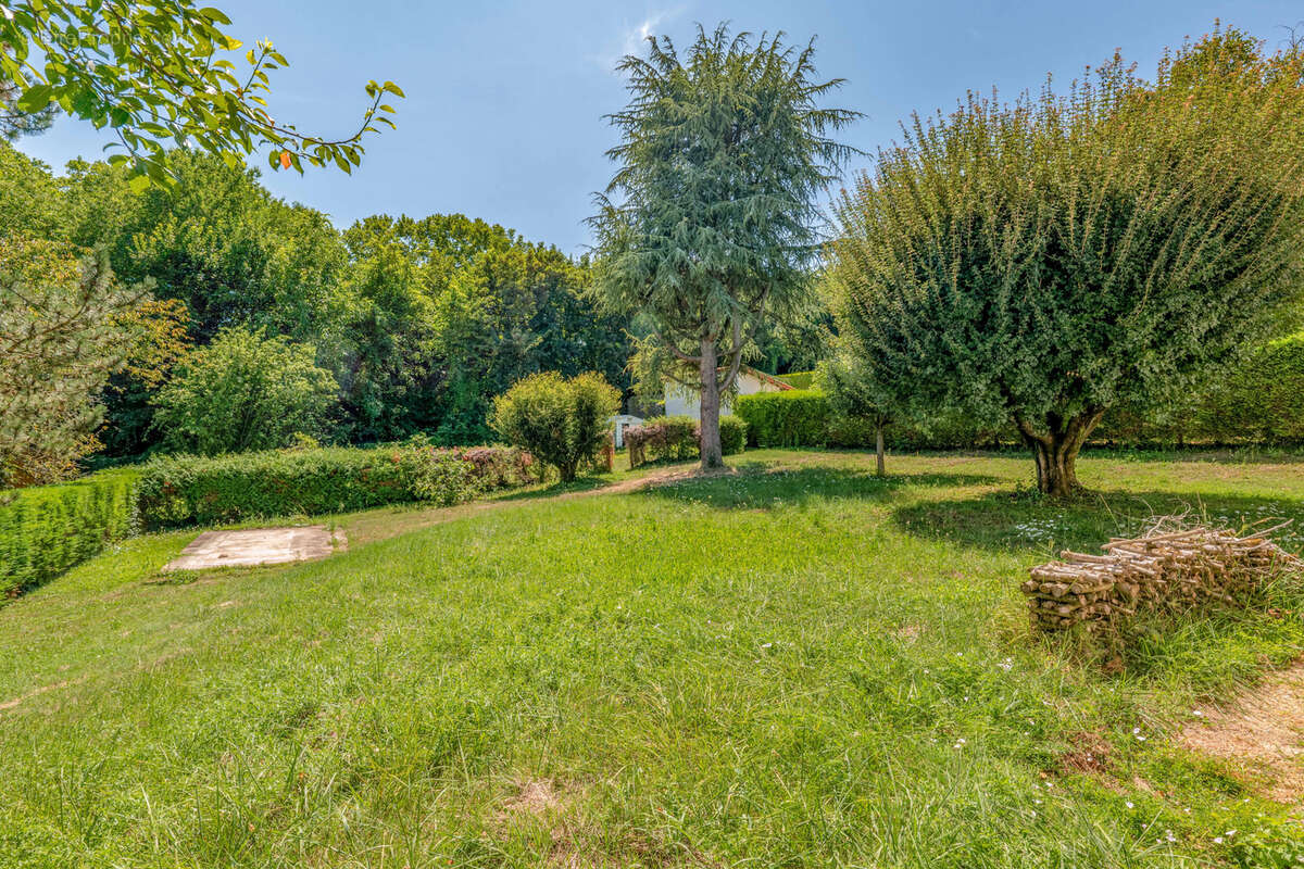 Maison à SAINT-CYR-AU-MONT-D&#039;OR