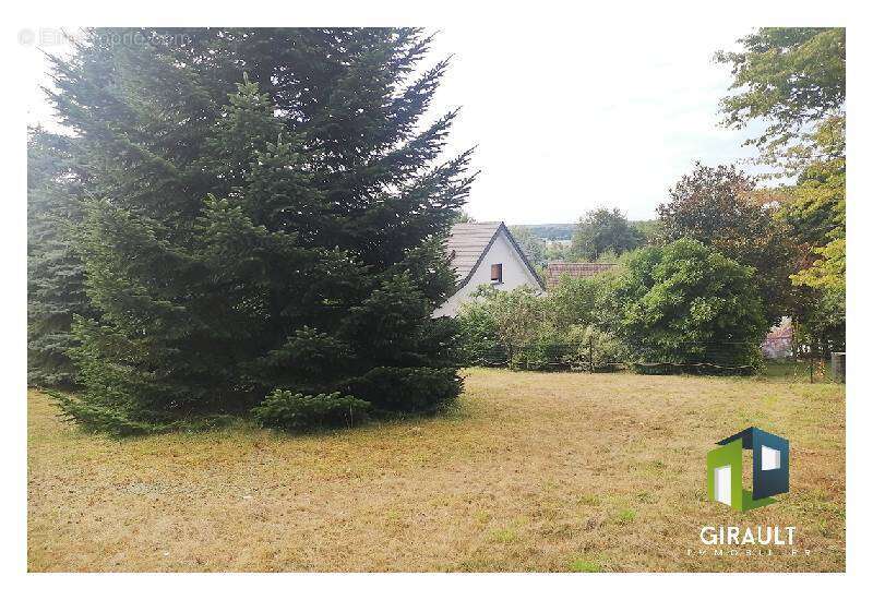 Terrain à TRAUBACH-LE-HAUT