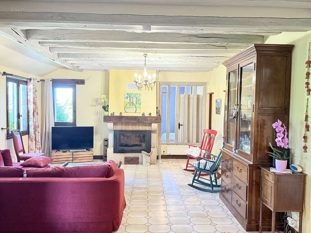 Maison 205 m² à La Chatre  - photo 4