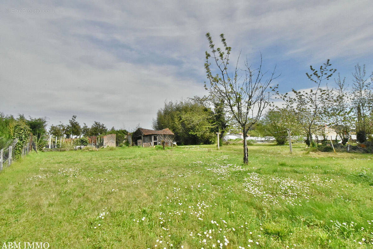 Terrain à BERGERAC