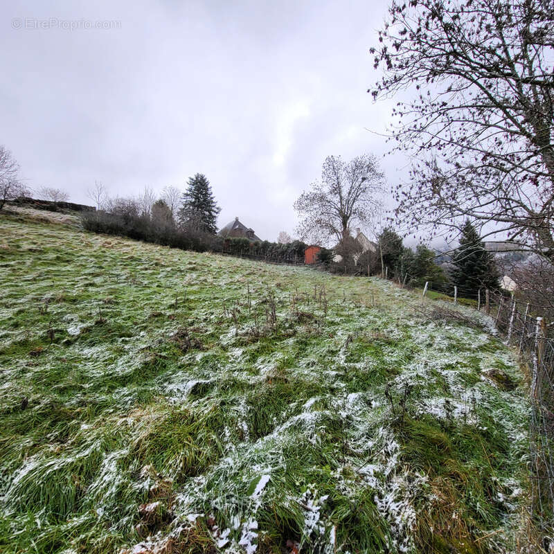 Terrain à CHEYLADE