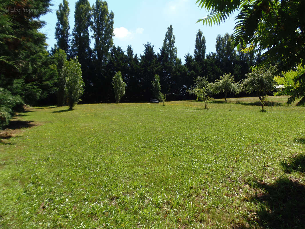 Maison à SAINT-THOMAS-DE-CONAC