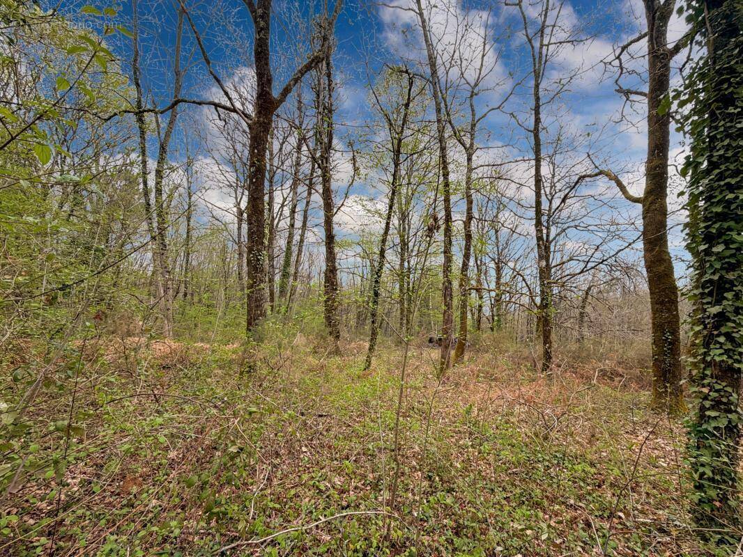 Terrain à SARLIAC-SUR-L'ISLE