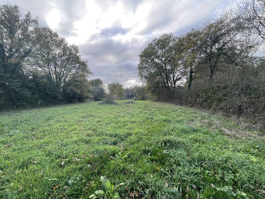 Terrain à GRAND-FOUGERAY