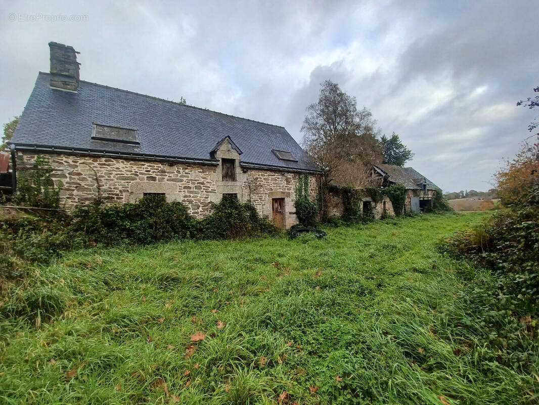 Maison à SAINT-THURIAU