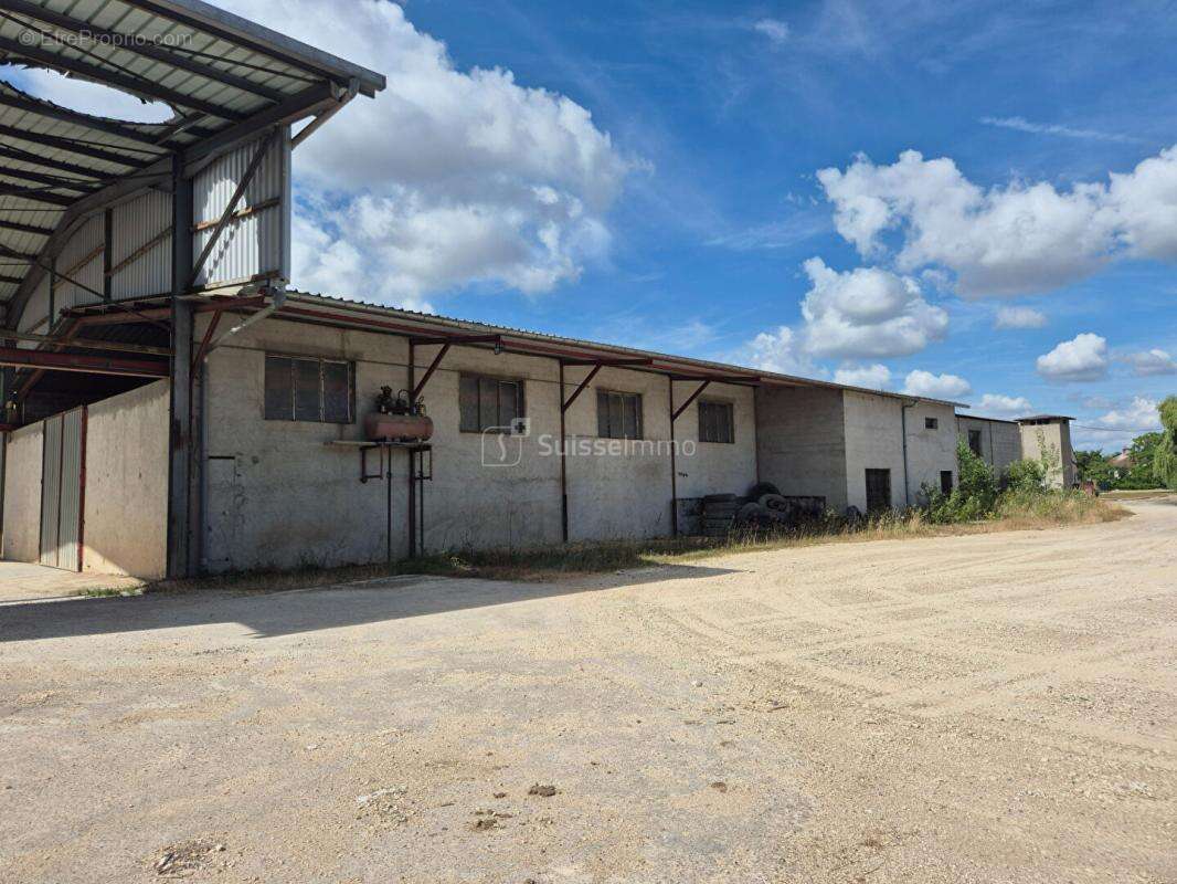Bâtiment Industriel avec bureaux  et hangars de 2200 m2 + Maison de 250 m2 sur 12000 m2 de Terrain - photo 3