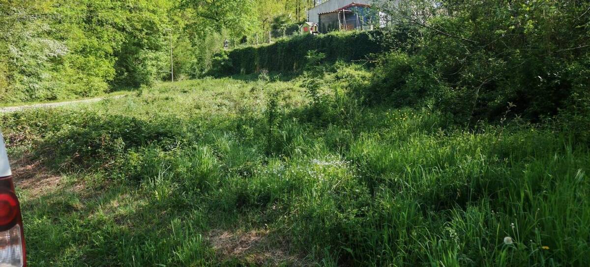 Terrain à BUSSAC-SUR-CHARENTE