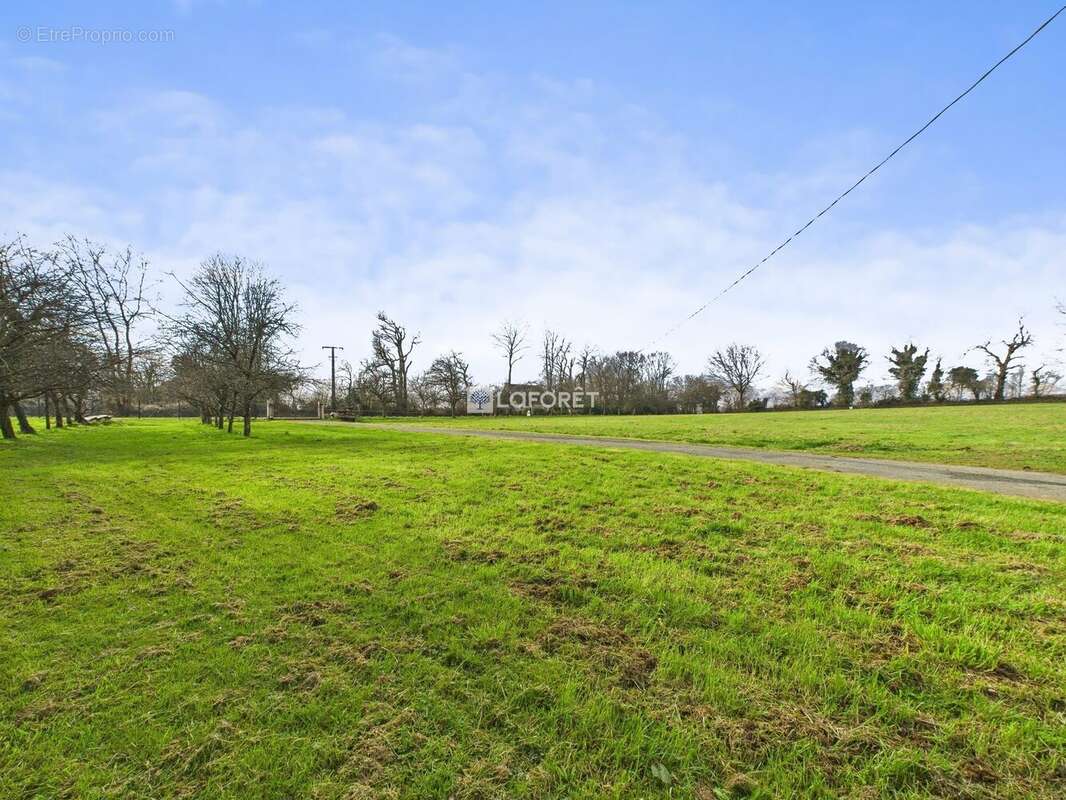 Maison à CHATEAUNEUF-DU-FAOU