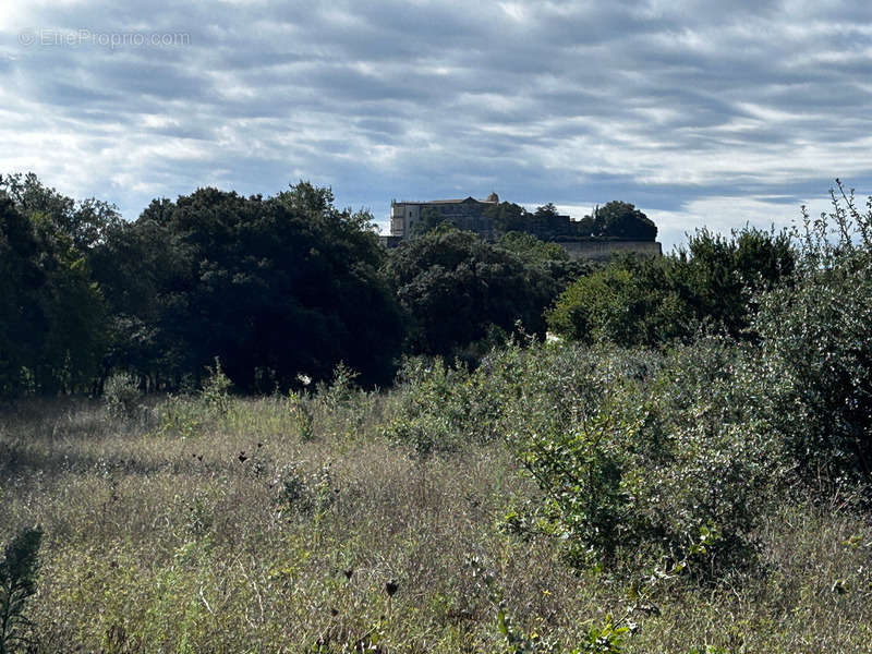 Terrain à GRIGNAN