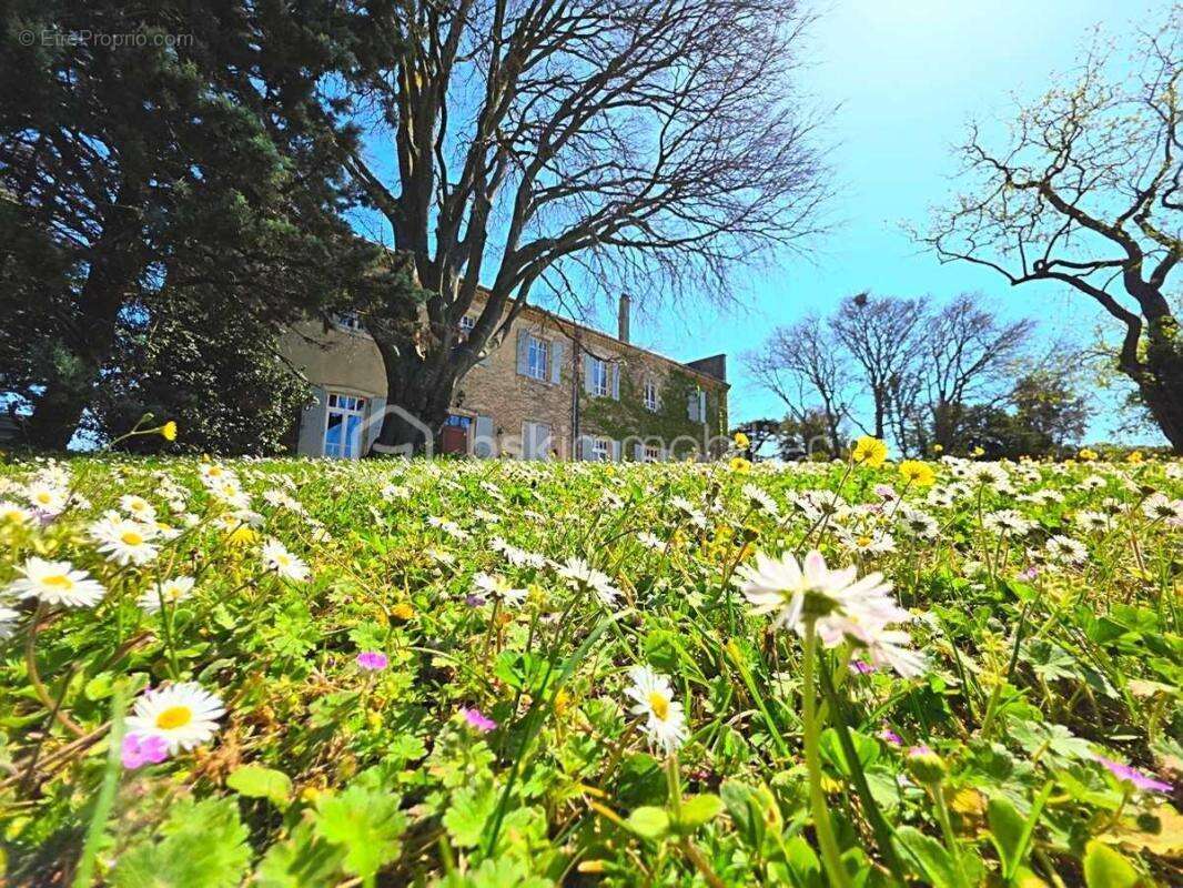 Exclusivite / montelimar / 387 m² / 7 chambres / piscine - photo 2