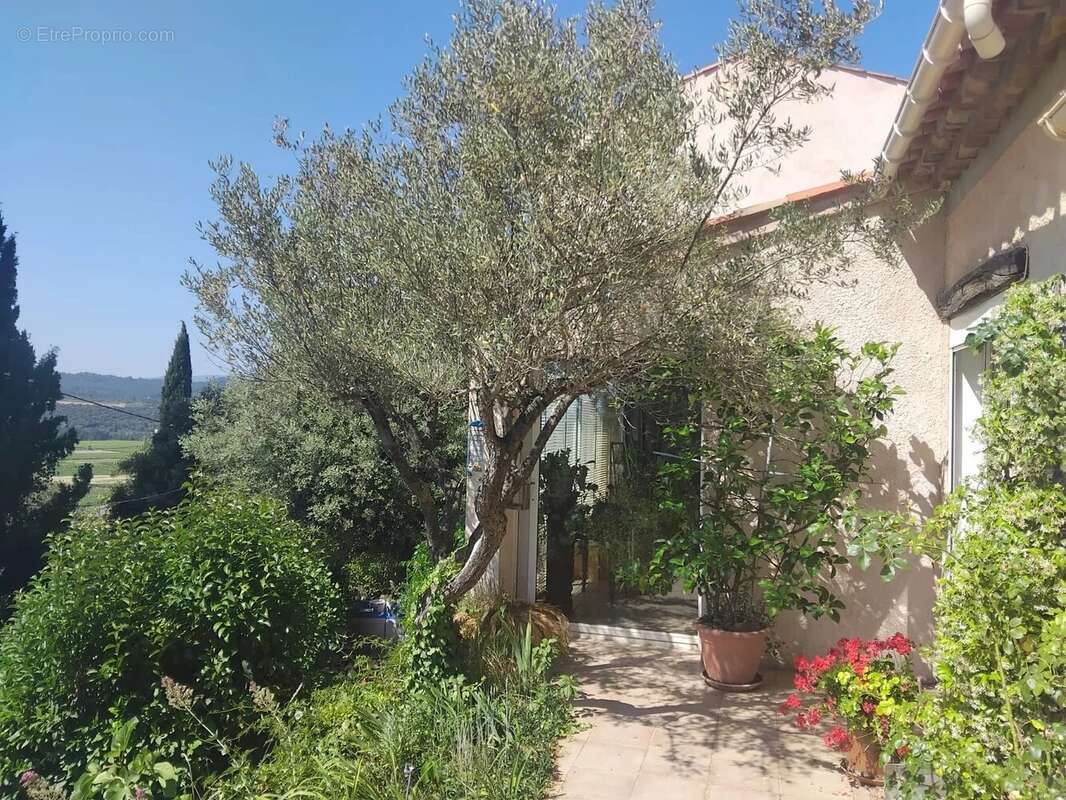 Maison à MONTFORT-SUR-ARGENS