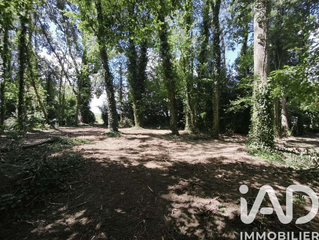 Terrain 2320 m² à Boult-Sur-Suippe  - photo 8