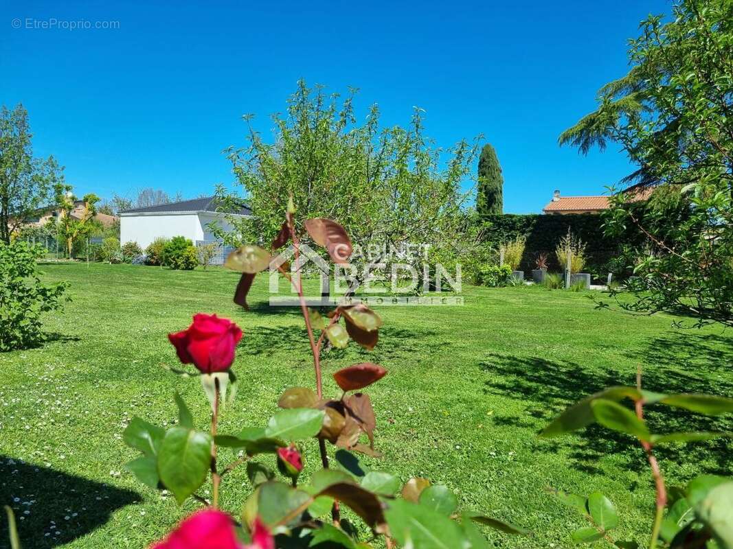 Terrain à PLAISANCE-DU-TOUCH