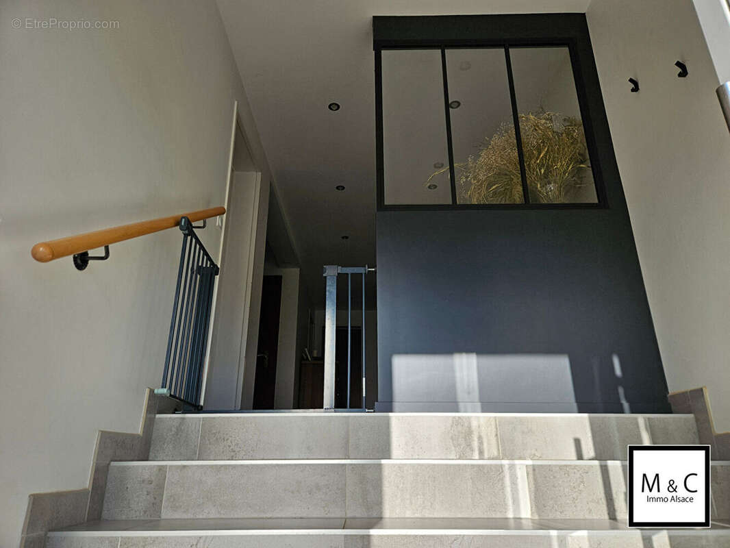 Appartement à WISSEMBOURG