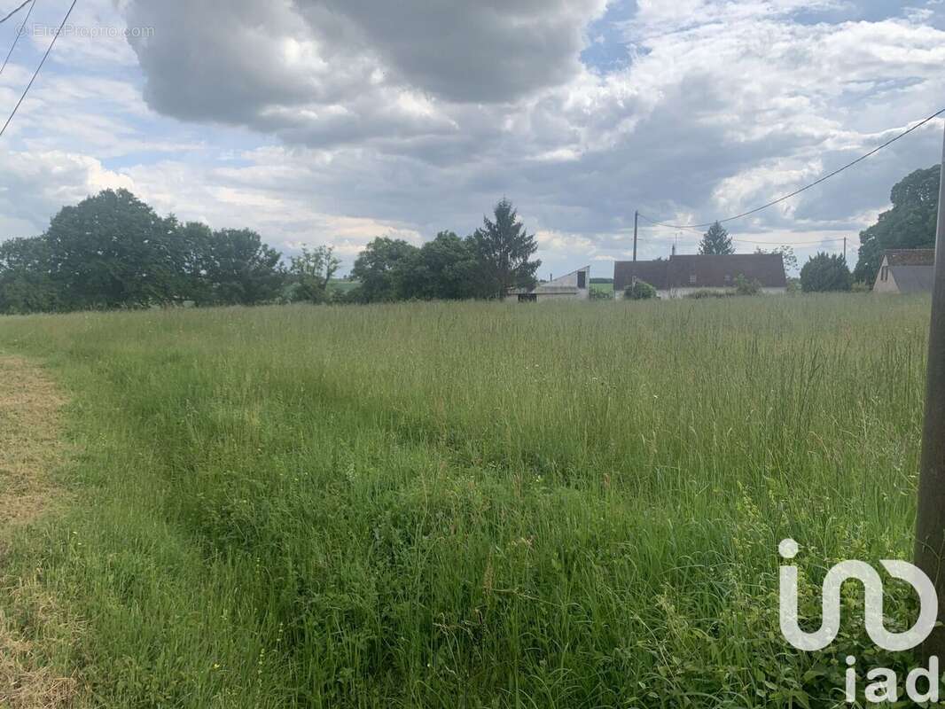 Photo 3 - Terrain à BAUDRES