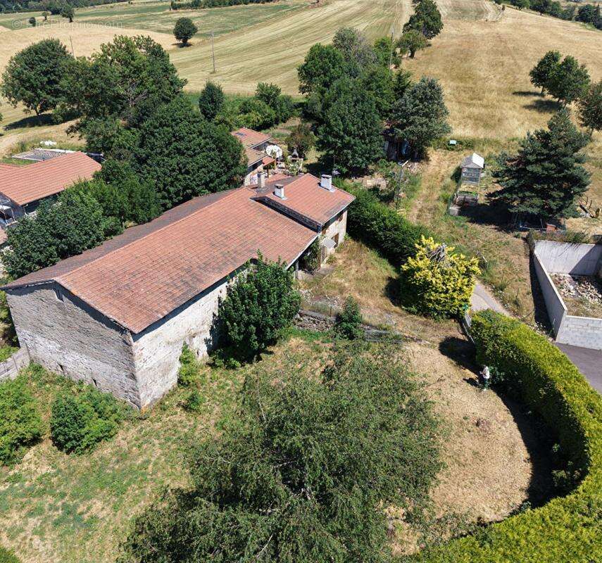 TARENTAISE 42660 dans un hameau paisible au dessus de Rochetaillée ferme rénovée en 2010 sur la partie habitation 112m² habitabl - photo 4