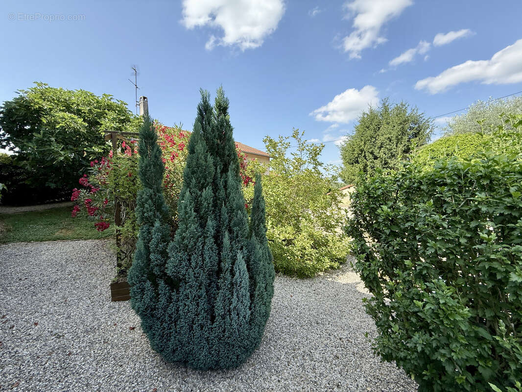 Maison à CORCELLES-EN-BEAUJOLAIS