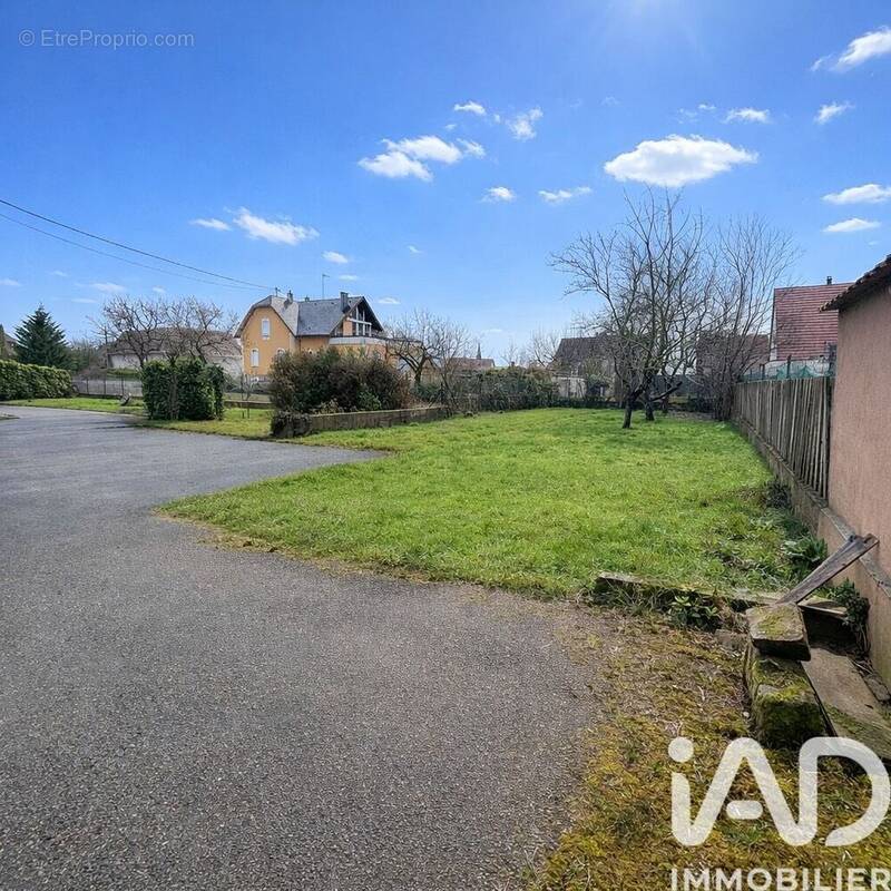 Photo 1 - Maison à SCHERWILLER