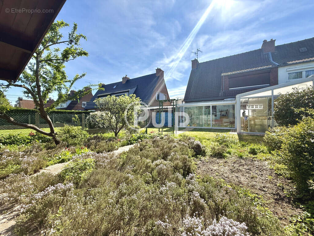 Maison à PHALEMPIN