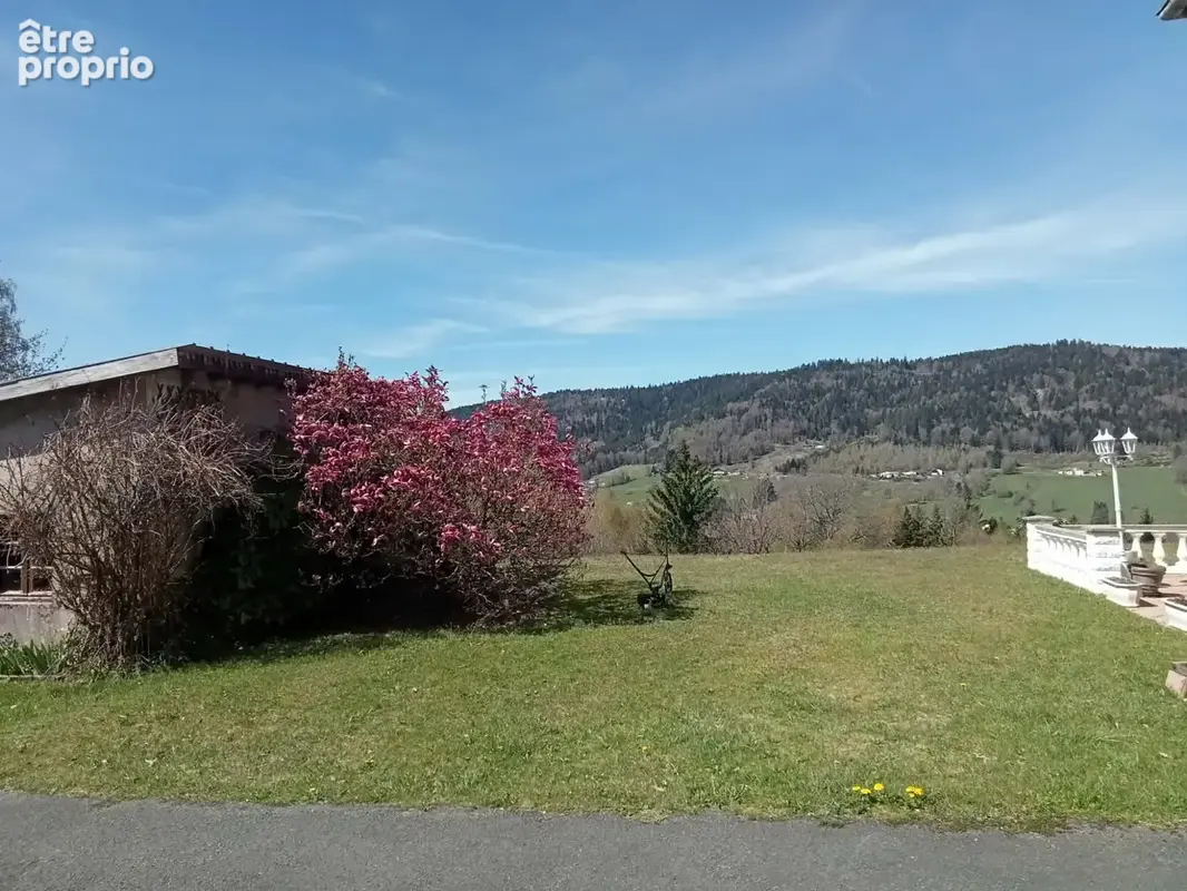 Maison 8 pièces 250 m² à vendre à Remiremont (88200) - photo 2