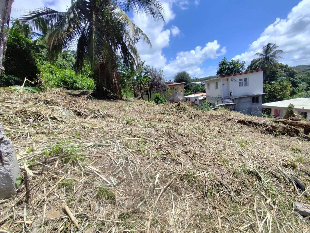 Terrain à FORT-DE-FRANCE