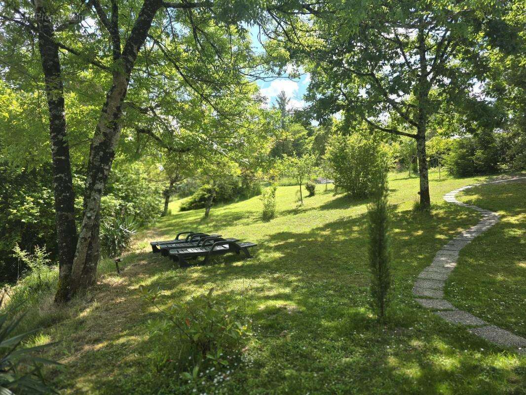 Maison à SAINT-PAUL-LIZONNE