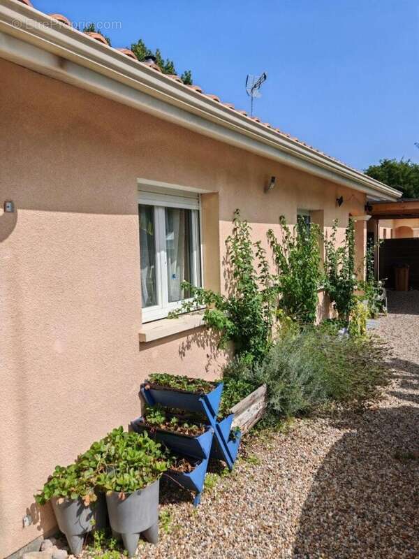 Maison 89 m² à Eyrans  - photo 3