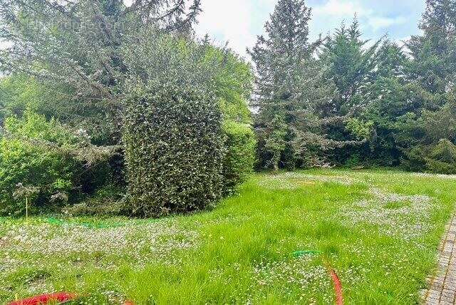 Terrain à SAINT-LEU-LA-FORET