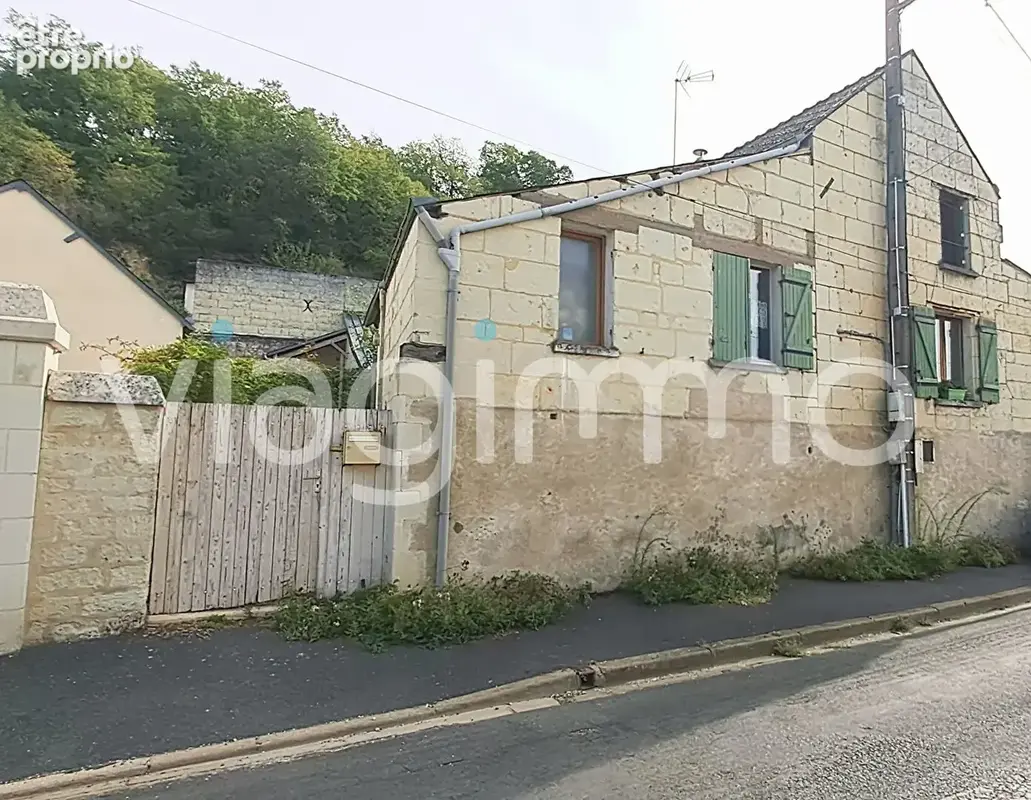 Viager Occupé Maison Fontevraud L'Abbaye 4 pièce(s) 70 m2 - photo 1