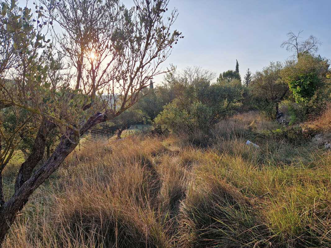 Terrain à LORGUES