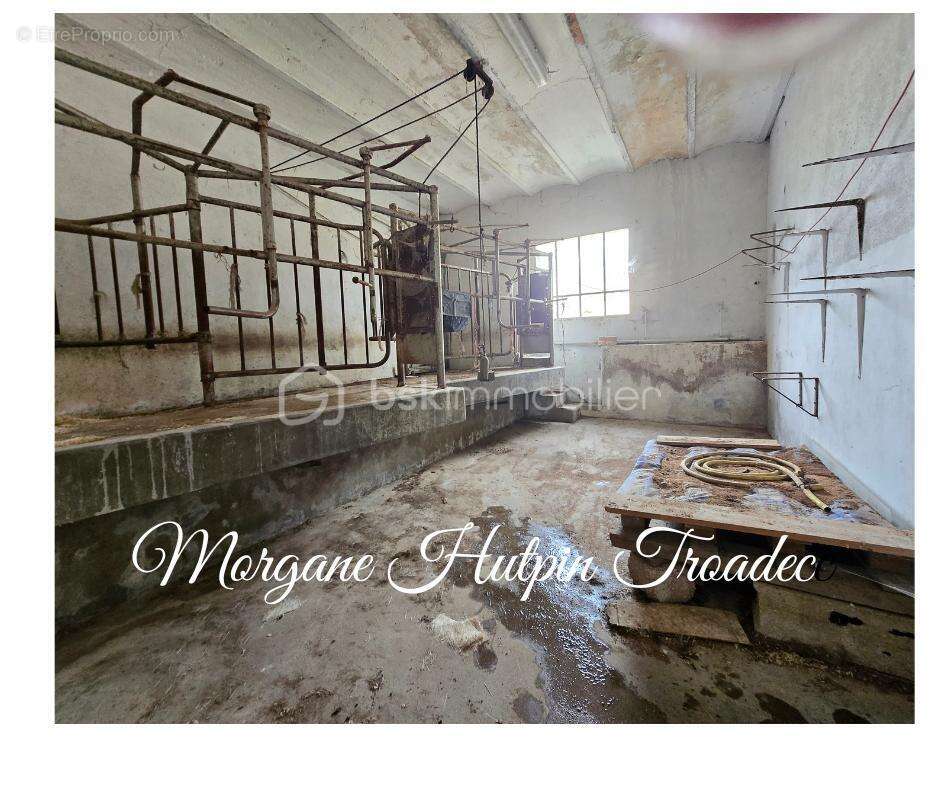 Maison à COURLON-SUR-YONNE