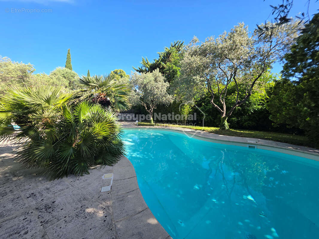 Maison familiale 144m² avec piscine, au calme en plein centre-ville - photo 2